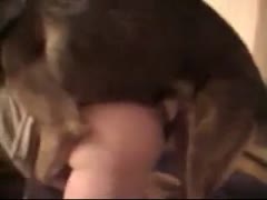 Doxy, a horny, attractive woman, experiences her first encounter with zoophilia while that hottie slams a huge K9 in this clip.